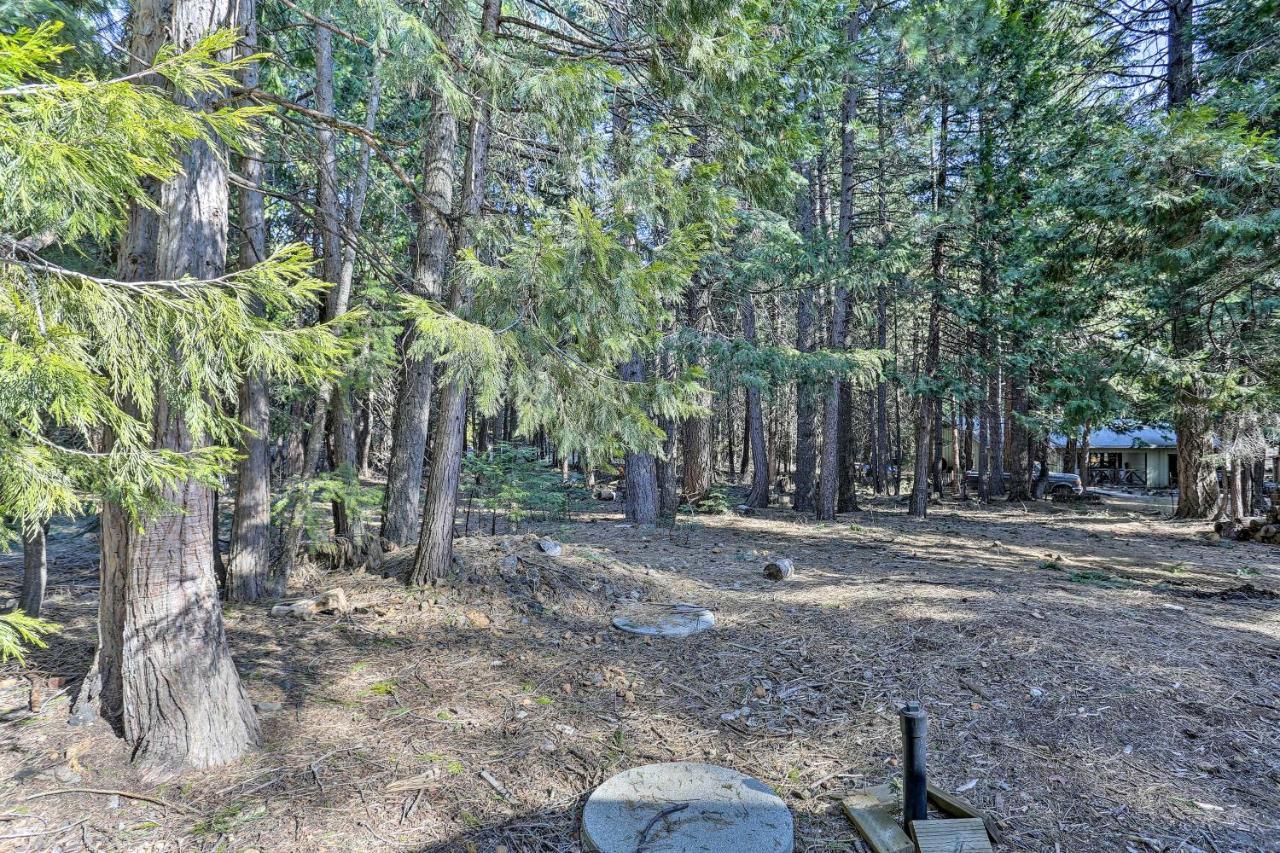Base Camp Lassen Home 13 Mi To Volcanic Natl Park Shingletown Exterior foto
